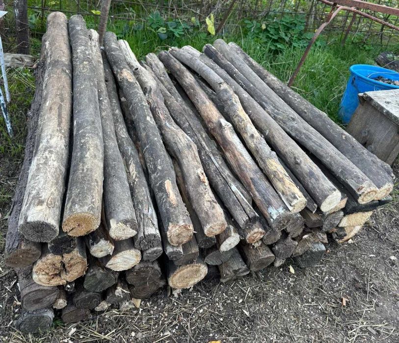 Lemne de foc esenta mixta (Brad + Salcam)