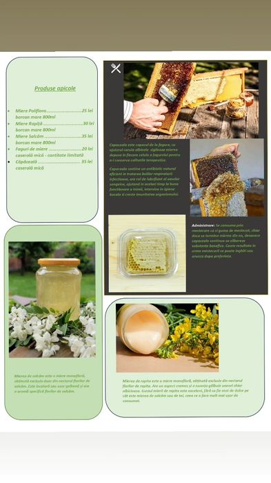 Produse Bio miere si capaceala