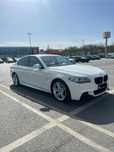 Vand Bmw F10 520d