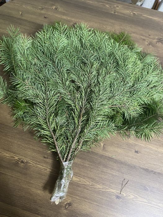 Пихтовый веник крупные.