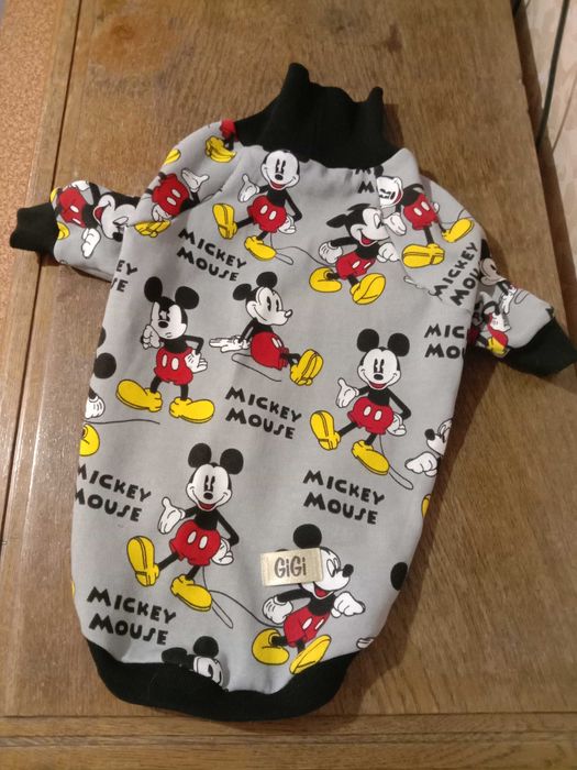 Одежда на собаку и обувь.