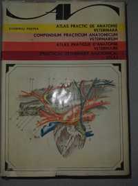 Atlas practic Anatomie Veterinara