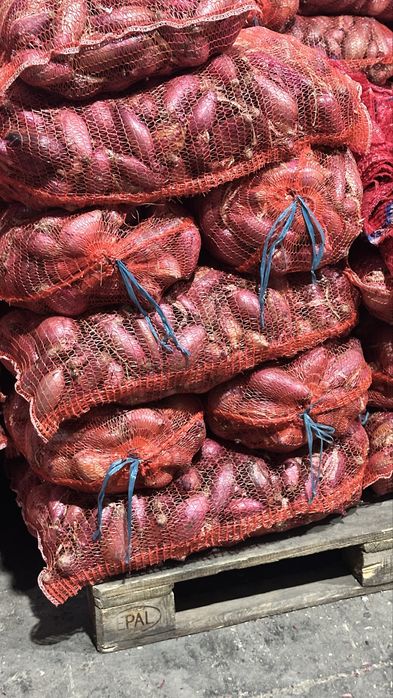 Ceapa de apa rosie calitate