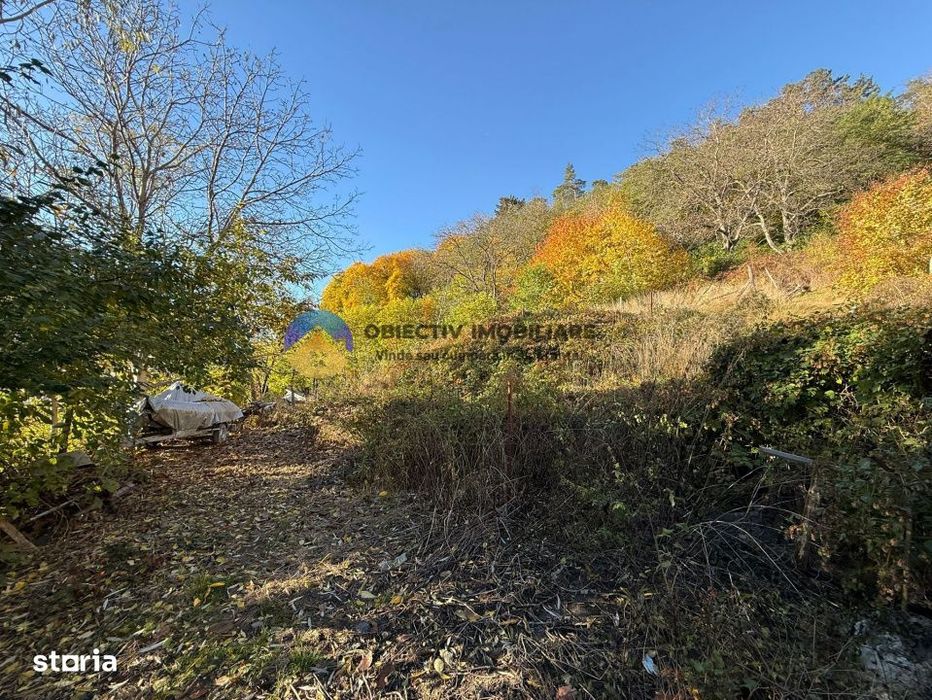 Teren intravilan 1543 mp – zona Darmanesti