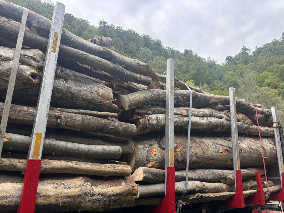 Lemn de foc bustean sau spart