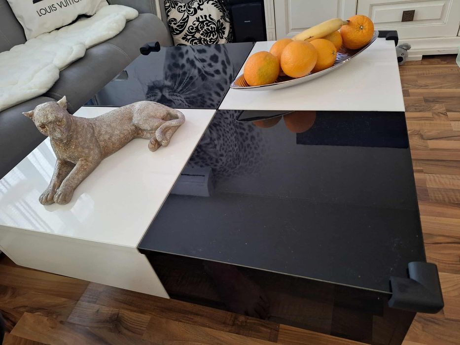 ХОЛНА МАСА черно и бяло