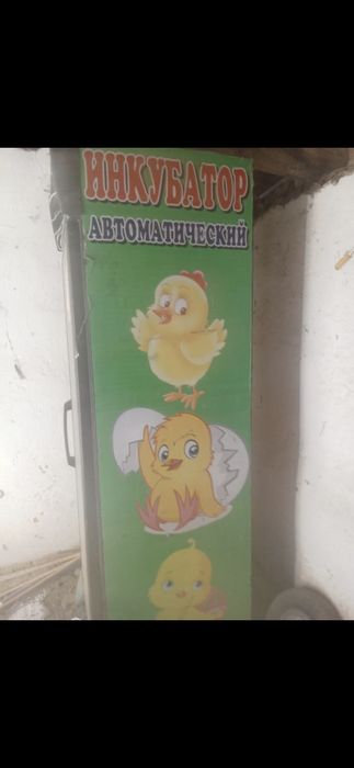 Инкубатор 700 жұмыртқадық