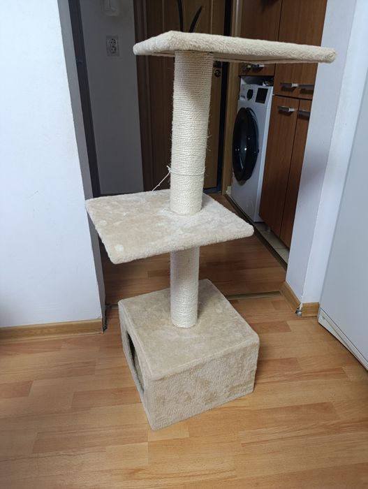 Ansamblu joaca pentru pisici