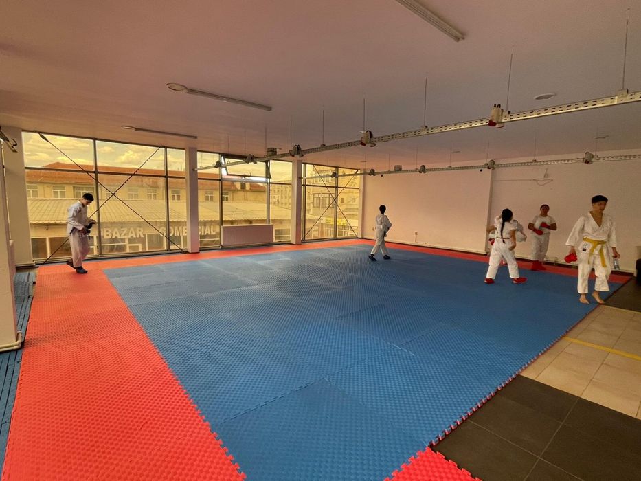 Saltea - Covor TATAMI PUZZLE PREMIUM (3,8kg/piesa) 1000X1000X40 MM