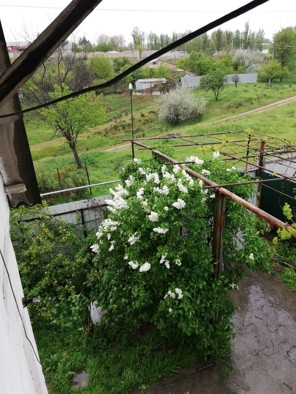 Продаётся дача. На зангиата