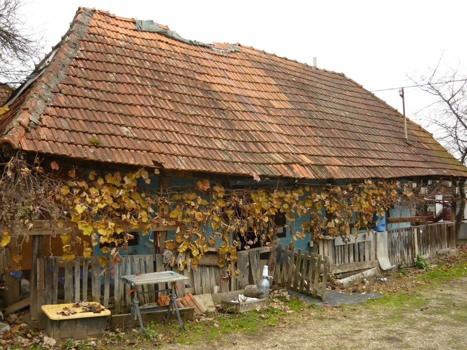 Grinzi de stejar din casa veche . Casa batraneasca 1910