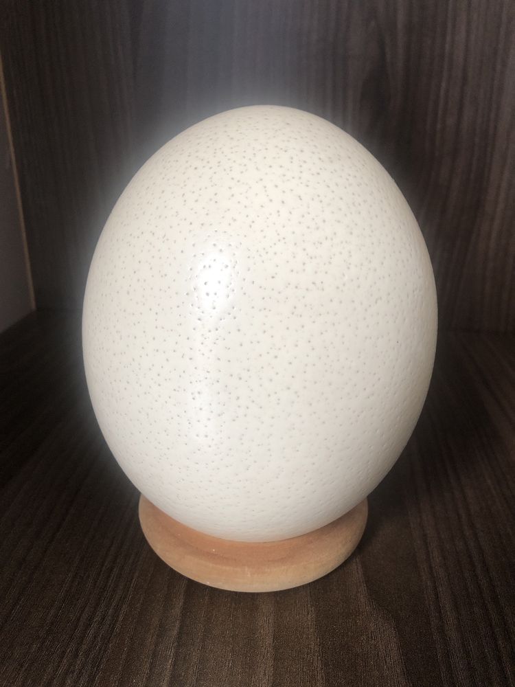 Щраусово яйце рисувано