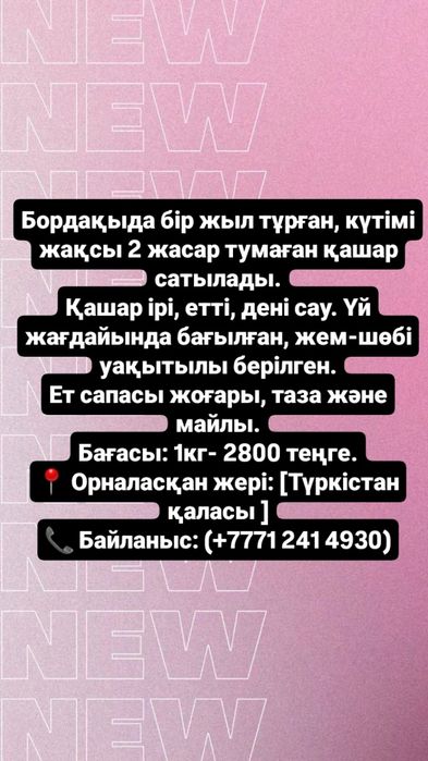 2 жасар қашар ірі