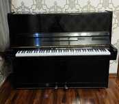 Pianina sotladi Holati zur