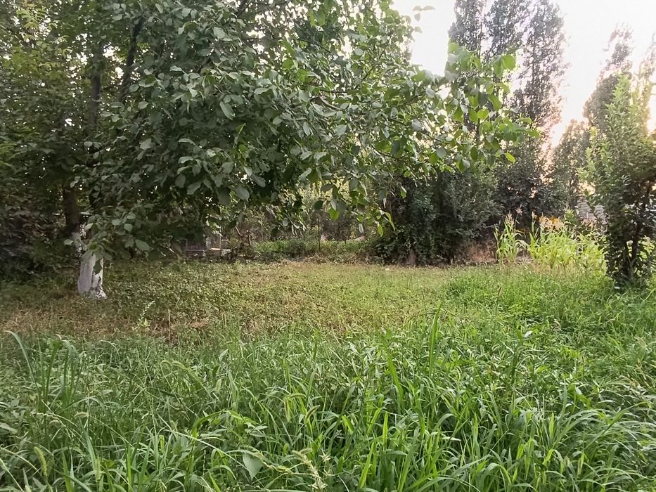 YER SOTILADI 3.4 SOTIK  Fut sitida 9 km avangart boyqorgon srochna sot