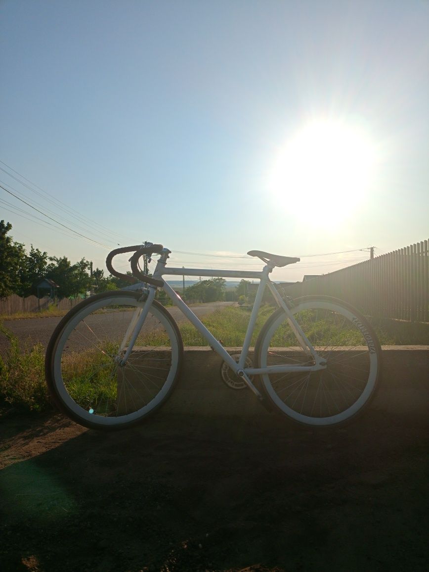 Bicicletă Lamona-Limited edition