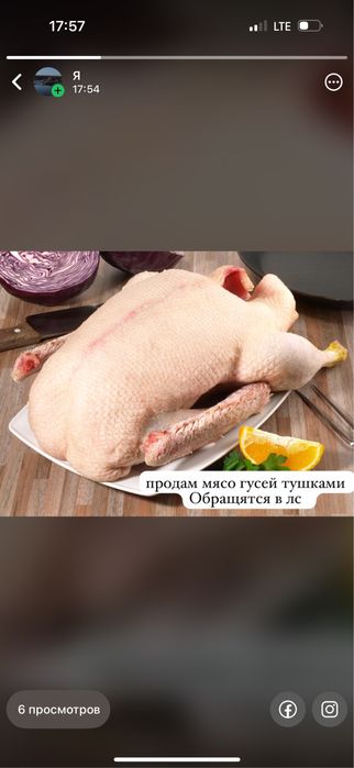 Домашний гусь – сочное мясо для вашего стола!