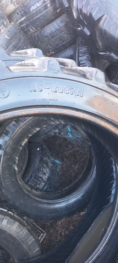 două anvelope 9,5r36 pentru u445 legumicol