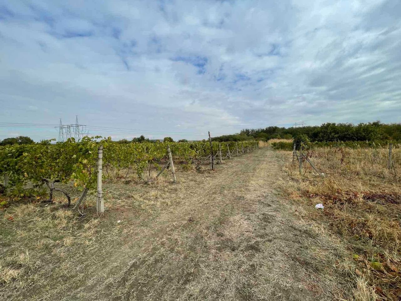 Продава се Парцел в Пловдив, Прослав - 1540 кв.м за 14 €/кв.м - Снимка #1