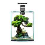 Set Acvariu Aquael Shrimp 10 Day&Night ( Nou )