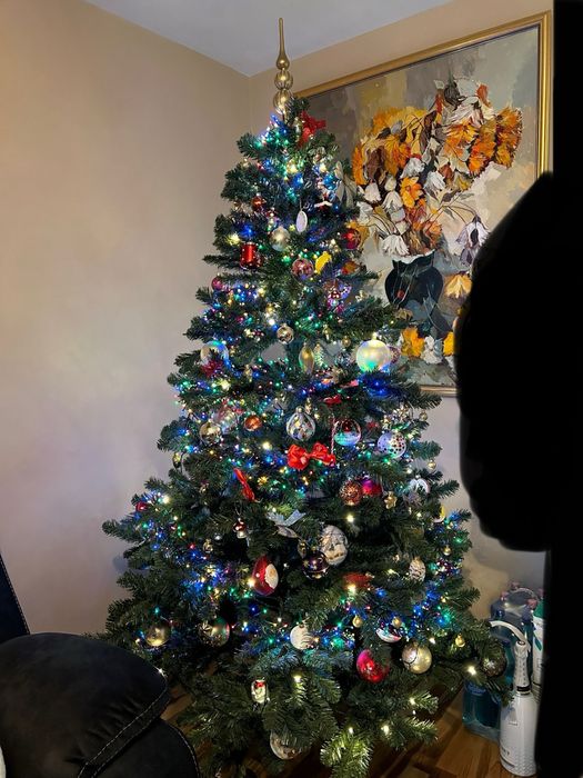 Brad de Craciun 2,4 m inaltime