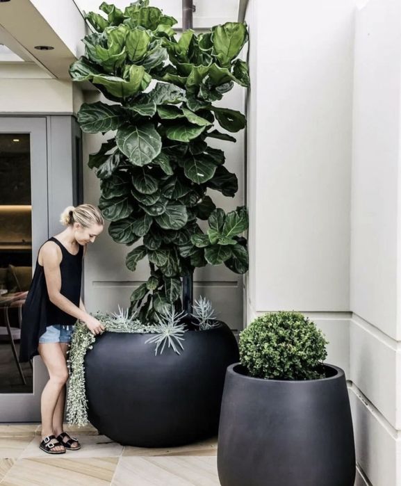 Уход за растениями