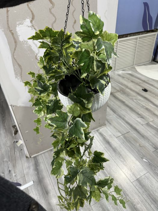 Продается Декор цветы