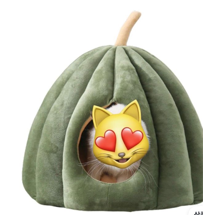 Домик тыква для собак и кошек