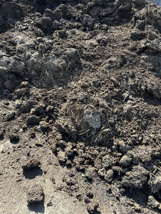 Mranita si pamant negru