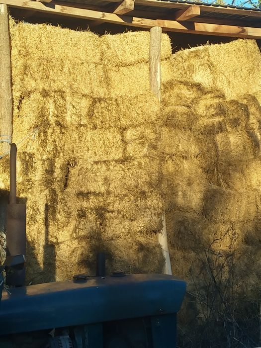 Baloți de lucernă și iarbă