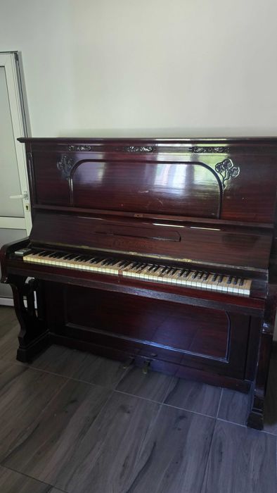 Vand Pianina Hofmann