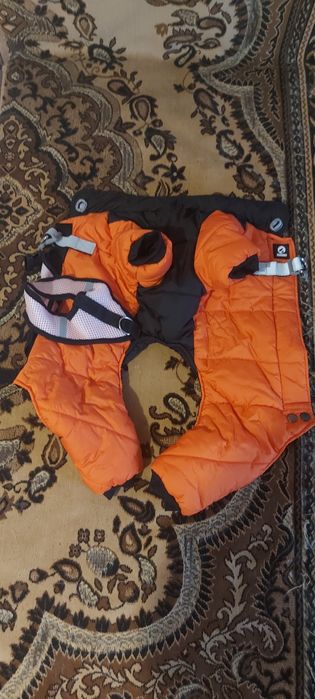 Костюмы для маленьких собак