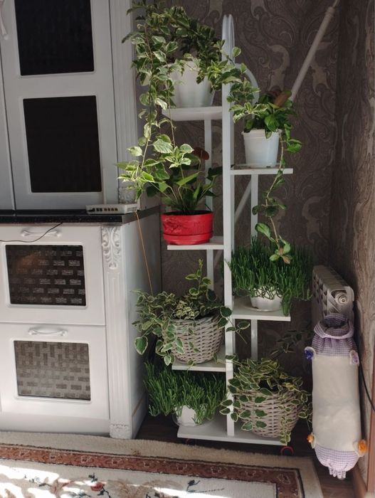 Подставка для цветов на колёсах, металлическая 5-уровневая