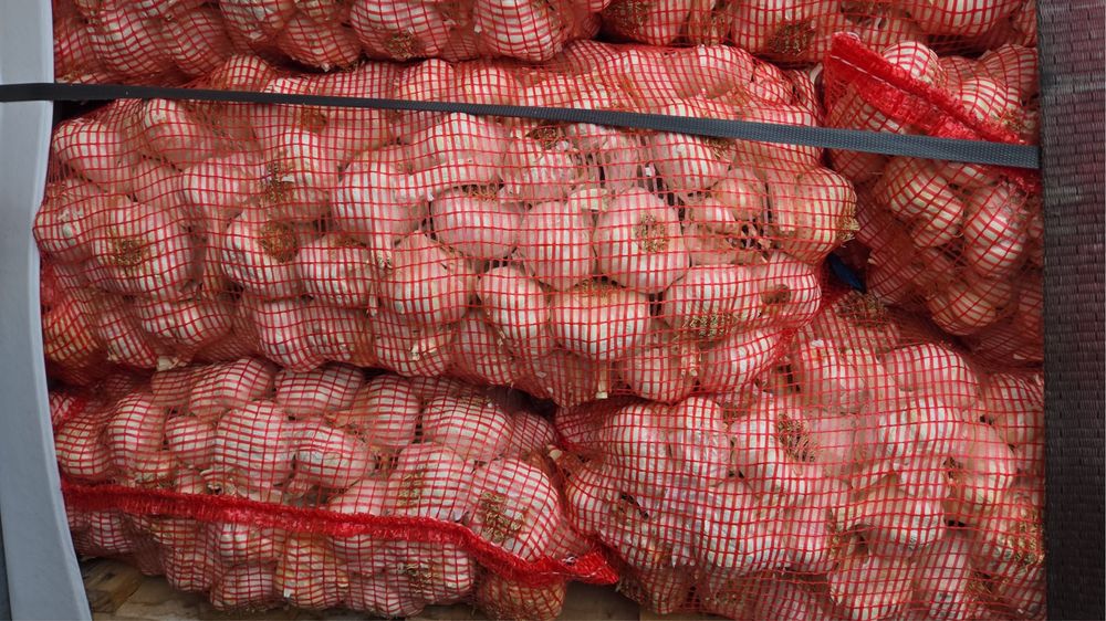 Usturoi de vanzare pentru consum sau plantat Craiova