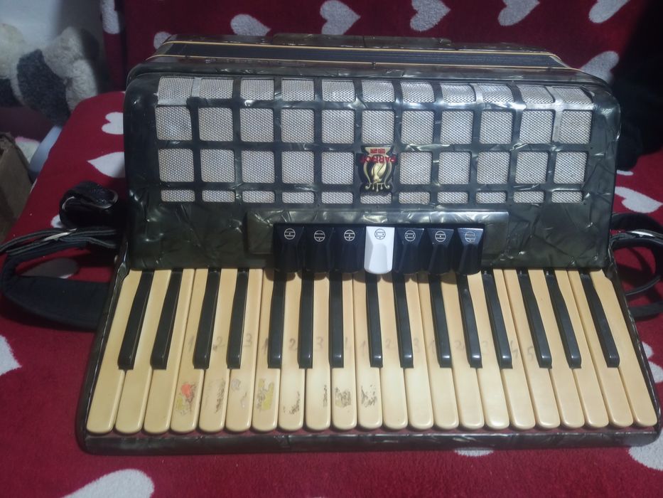 Acordeon parot. 80de bași