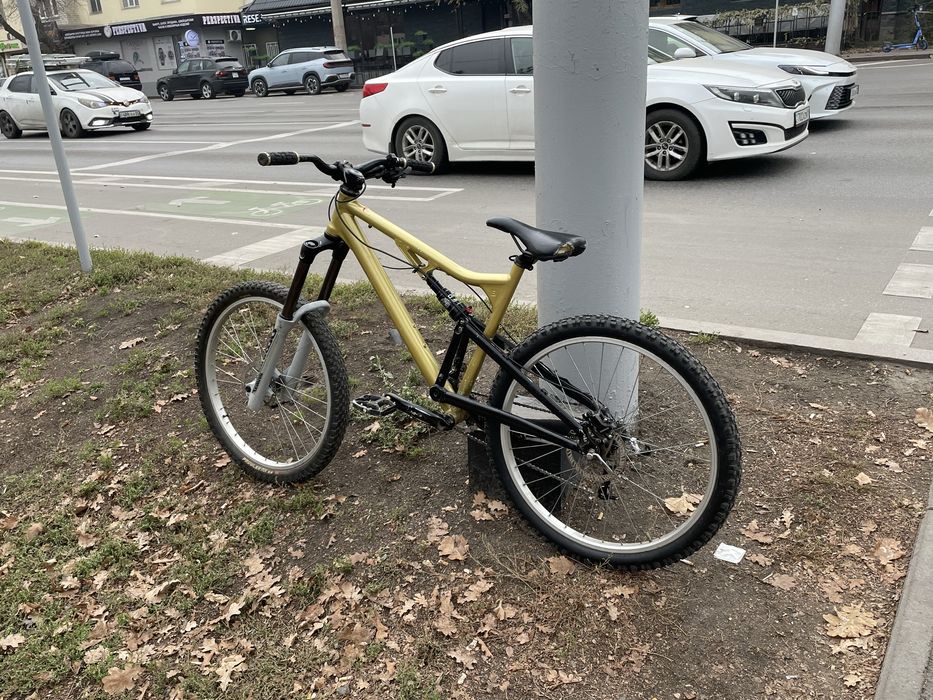 bergamont evolve 4.8