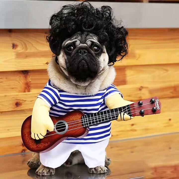 Costum pentru catei