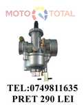 carburator  motocoasa agria  bujie