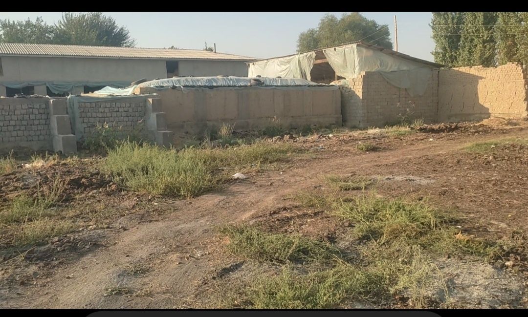 Dacha uchun moljalangan joy sotiladi kadastiri bor