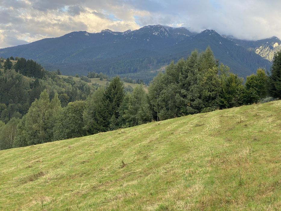 Teren Bran Simon Balaban