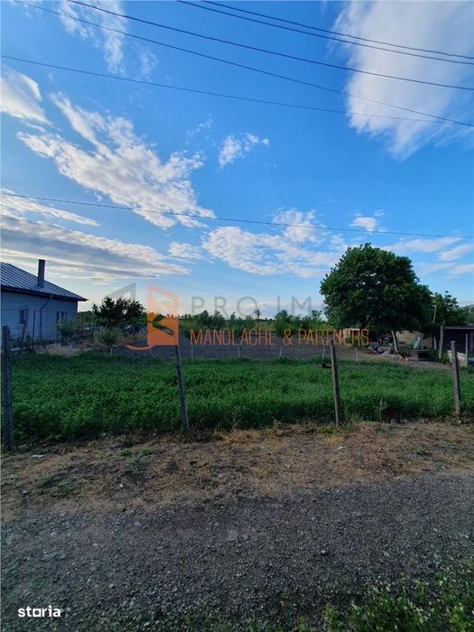 Teren intravila zona Tintesti, jud. Buzau