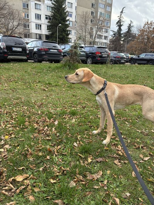 Кари на 8 месеца