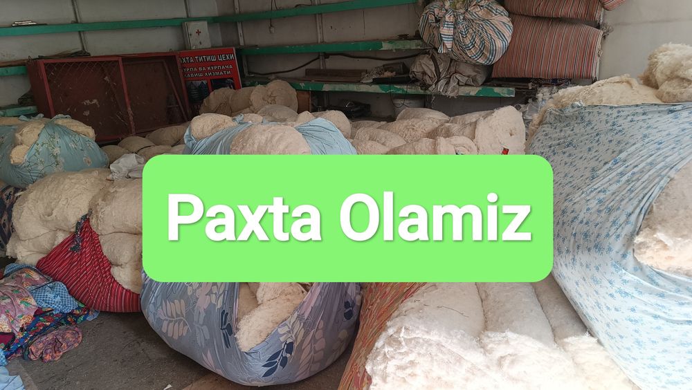 Paxta Olamiz Пахта оламиз приём