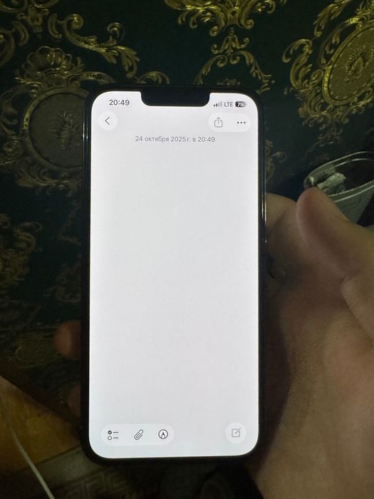 iPhone 13 pro LL/A