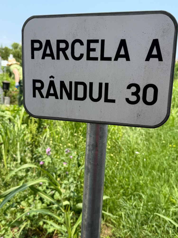 Locuri de veci  cimitirul SF. Ilie Pipera