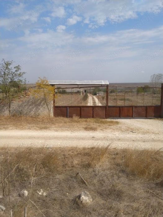 Vând FERMA cu teren 4 hectare Plopeni Constanta