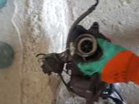Turbina Peugeot 307 407 Citroen C5 2.0 hdi RHR RHF