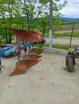 2 Pluguri 4 trupite reversibil, LEMKEN, RABE WERK