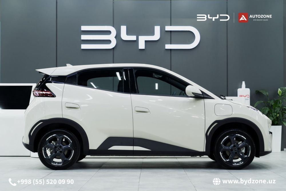 BYD Seagull 405km