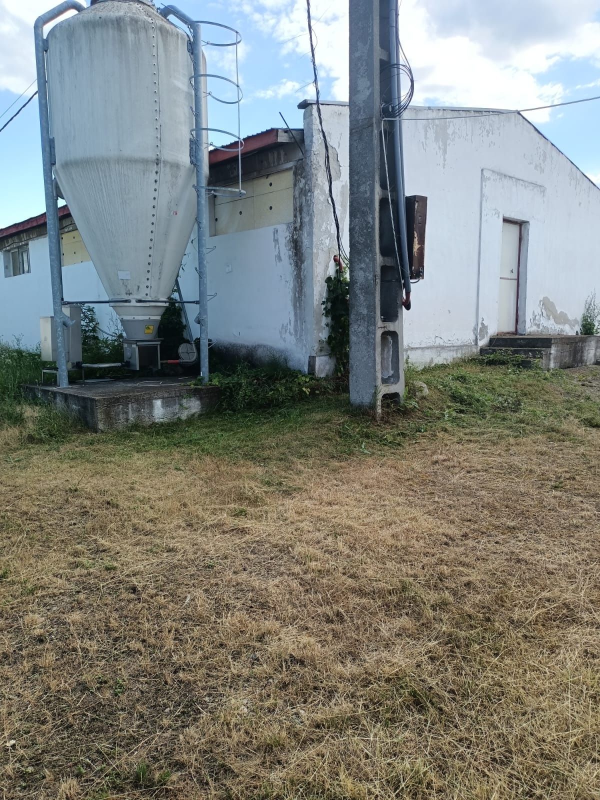 Vand ferma de porcine și abator.